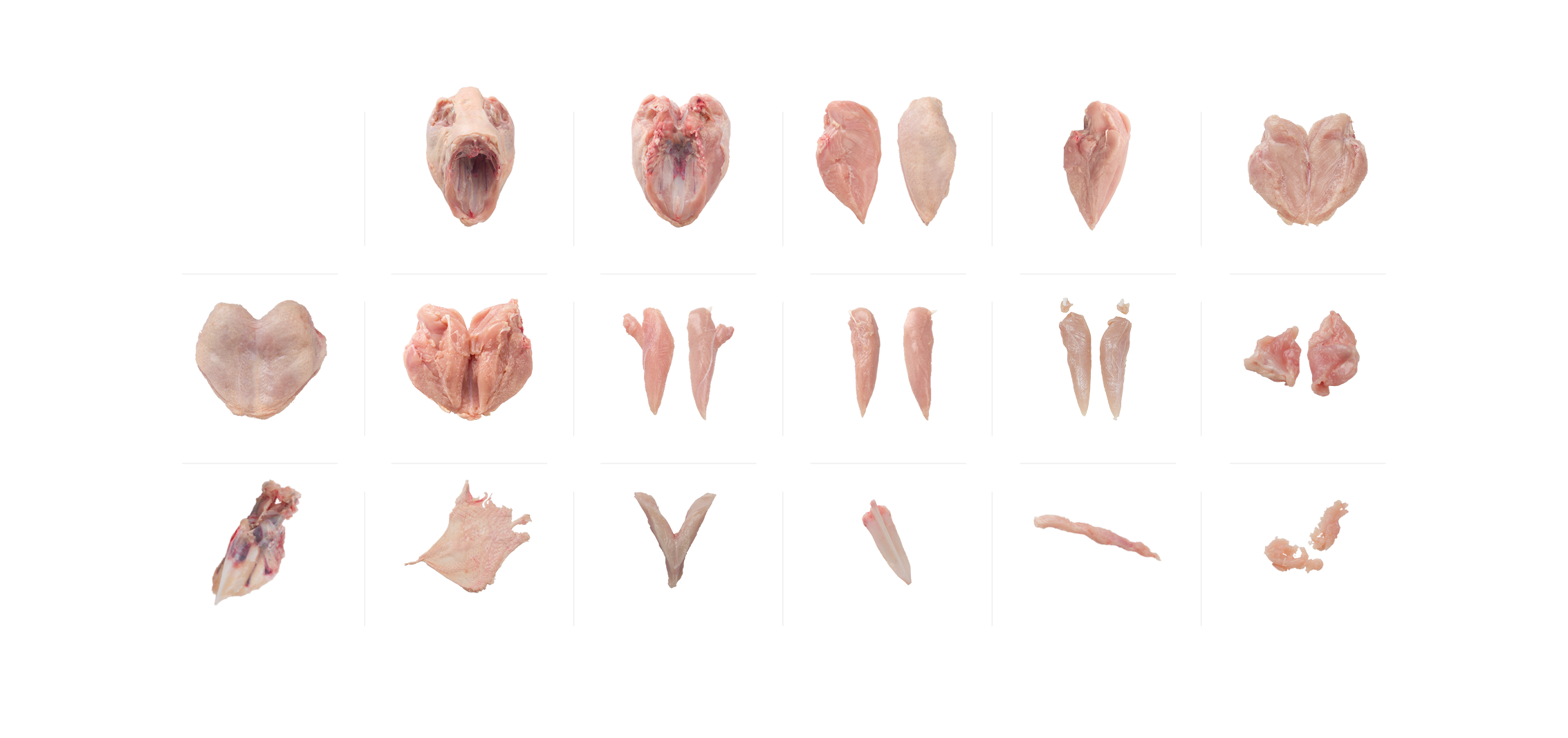 Overview Endproduct Rapid M5 0 Landing