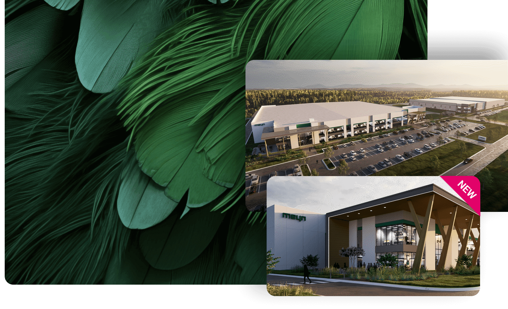 MEYN PRESSRELEASE US CAMPUS SOUTHCAROLINE