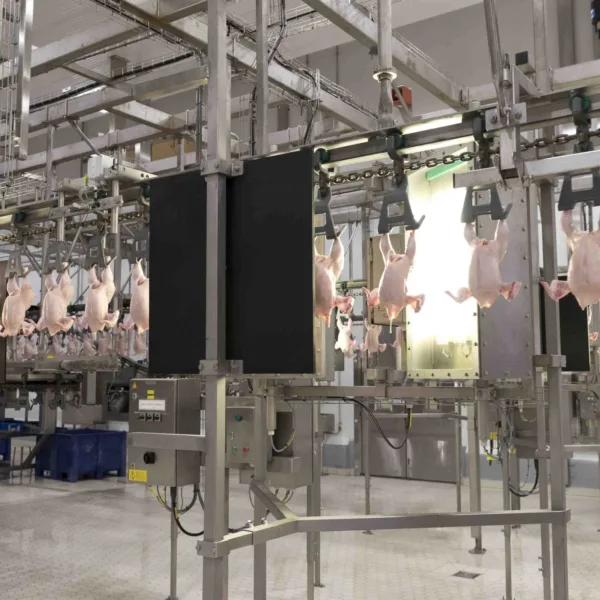 Phase out whole bird quality grading systems - Meyn (EN)