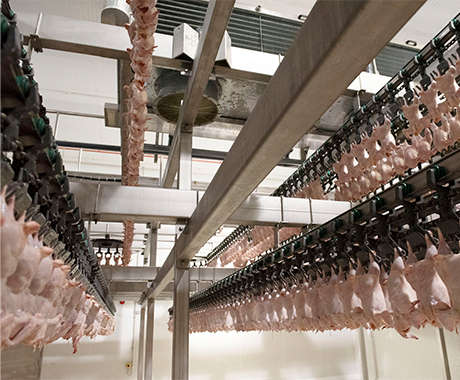 Air Chilling System - Meyn (EN)
