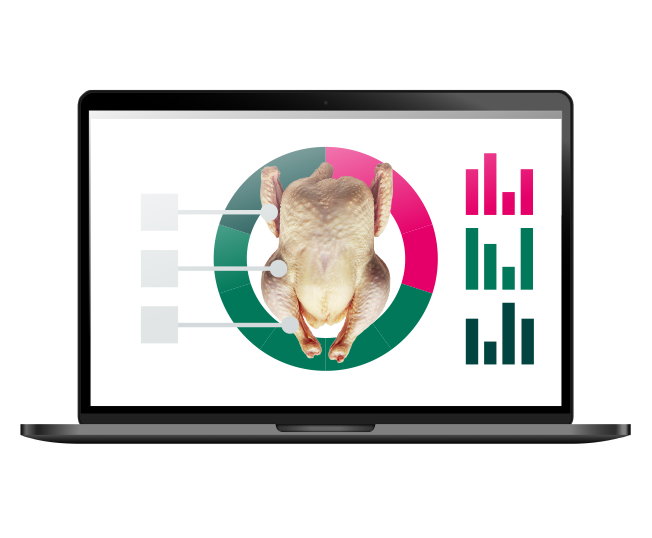 Meyn Connect - Meyn (EN)