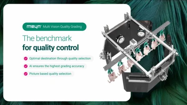 Multi Vision Quality Grading Thumbnail